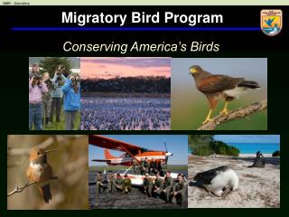 Migratory Bird Program