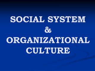 SOCIAL SYSTEM &amp; ORGANIZATIONAL CULTURE