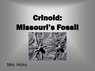 Crinoid: Missouri’s Fossil