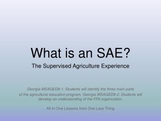 What is an SAE?