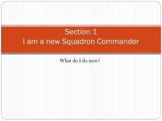 Section 1 I am a new Squadron Commander