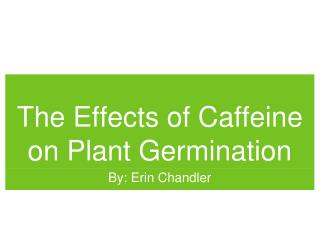 The Effects of Caffeine on Plant Germination