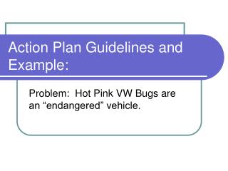 Action Plan Guidelines and Example: