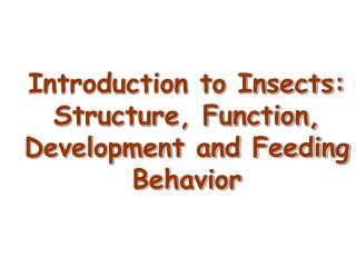 Introduction to Insects: Structure, Function, Development and Feeding Behavior