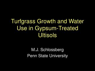 Turfgrass Growth and Water Use in Gypsum-Treated Ultisols
