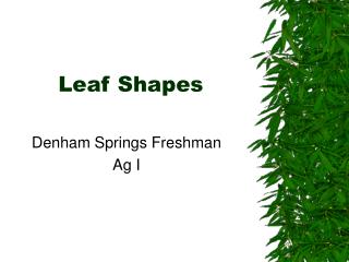 Leaf Shapes