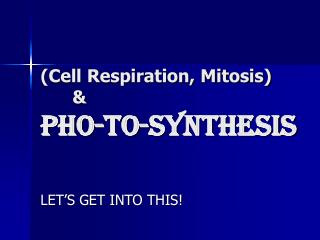 (Cell Respiration, Mitosis) 	&amp; PHO-TO-SYNTHESIS