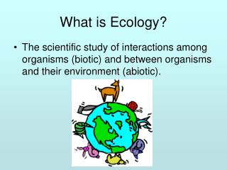 What is Ecology?