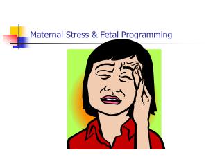 Maternal Stress &amp; Fetal Programming