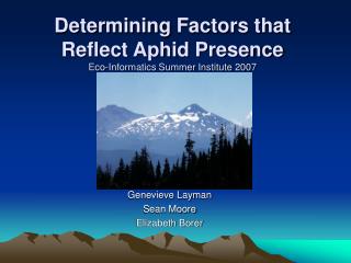 Determining Factors that Reflect Aphid Presence Eco-Informatics Summer Institute 2007