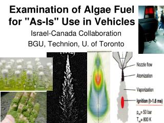 Examination of Algae Fuel for &quot;As-Is&quot; Use in Vehicles