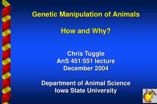 Genetic Manipulation of Animals How and Why? Chris Tuggle AnS 451/551 lecture December 2004