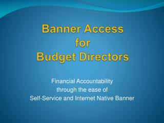 Banner Access for Budget Directors