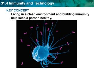 KEY CONCEPT Living in a clean environment and building immunity help keep a person healthy.