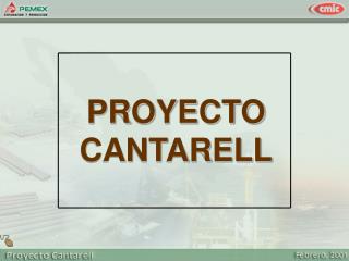 PROYECTO CANTARELL