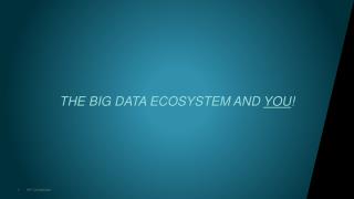 THE BIG DATA ECOSYSTEM AND YOU !
