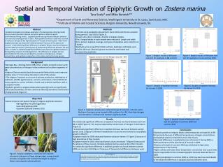 Spatial and Temporal Variation of Epiphytic Growth on Zostera marina