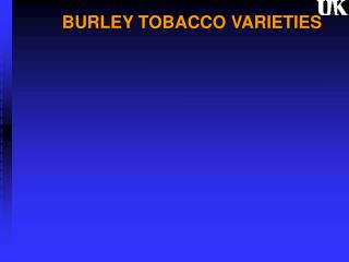 BURLEY TOBACCO VARIETIES