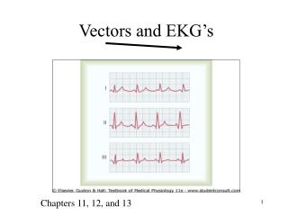 Vectors and EKG’s