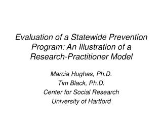 Evaluation of a Statewide Prevention Program: An Illustration of a Research-Practitioner Model