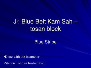 Jr. Blue Belt Kam Sah – tosan block
