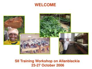 SII Training Workshop on Allanblackia 23-27 October 2006