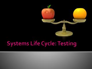 Systems Life Cycle: Testing