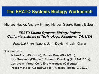 The ERATO Systems Biology Workbench