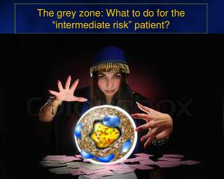 The grey zone: What to do for the “intermediate risk” patient?