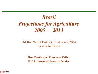 Brazil Projections for Agriculture 2005 - 2013