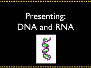 Presenting: DNA and RNA