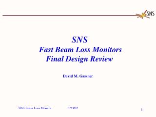 SNS Fast Beam Loss Monitors Final Design Review