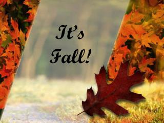 It’s Fall!