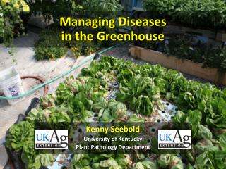 Managing Diseases in the Greenhouse