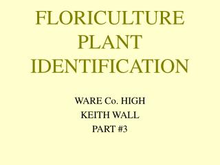 FLORICULTURE PLANT IDENTIFICATION
