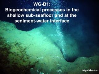 WG-B1: Biogeochemical processes in the shallow sub-seafloor and at the sediment-water interface