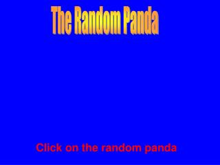 The Random Panda