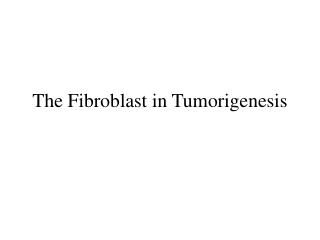 The Fibroblast in Tumorigenesis