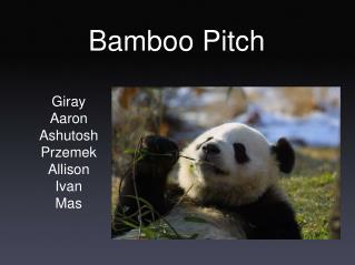Bamboo Pitch