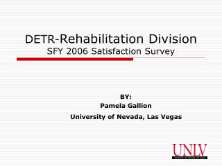 DETR- Rehabilitation Division SFY 2006 Satisfaction Survey