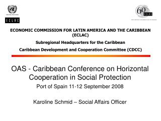 ECONOMIC COMMISSION FOR LATIN AMERICA AND THE CARIBBEAN (ECLAC)