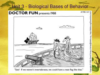 Unit 3 - Biological Bases of Behavior