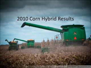 2010 Corn Hybrid Results