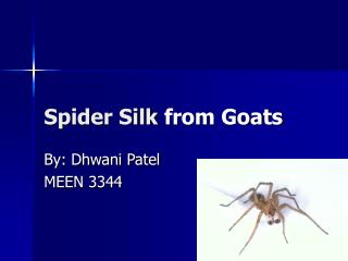 Spider Silk from Goats