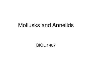 Mollusks and Annelids