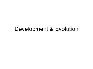 Development &amp; Evolution