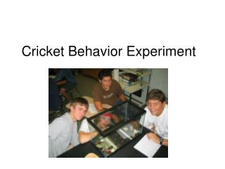 Cricket Behavior Experiment