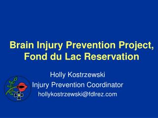 Brain Injury Prevention Project, Fond du Lac Reservation