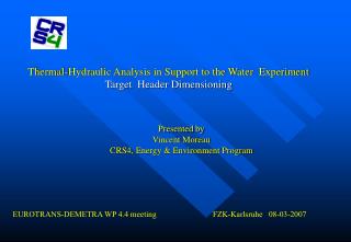 Thermal-Hydraulic Analysis in Support to the Water Experiment Target Header Dimensioning