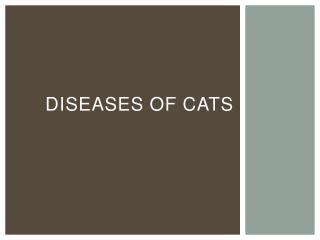 DISEASES OF CATS